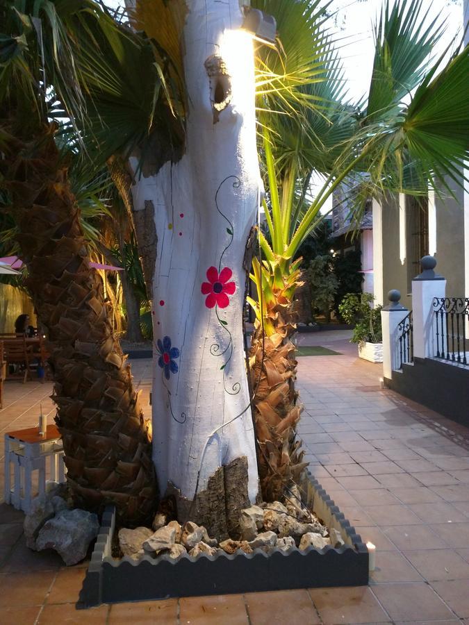 Nwt Paradise Urban Hostel Аликанте Экстерьер фото
