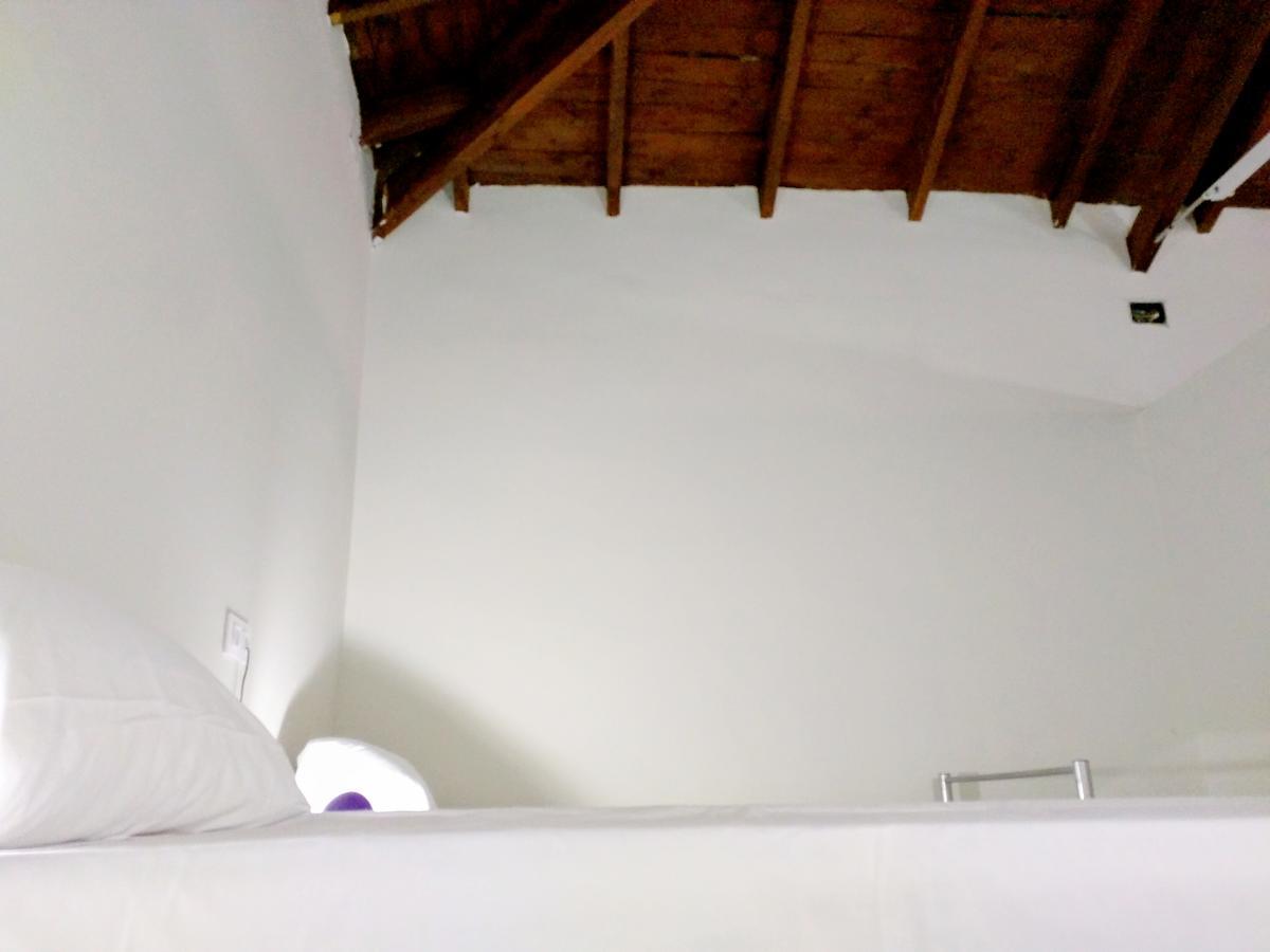 Nwt Paradise Urban Hostel Аликанте Экстерьер фото