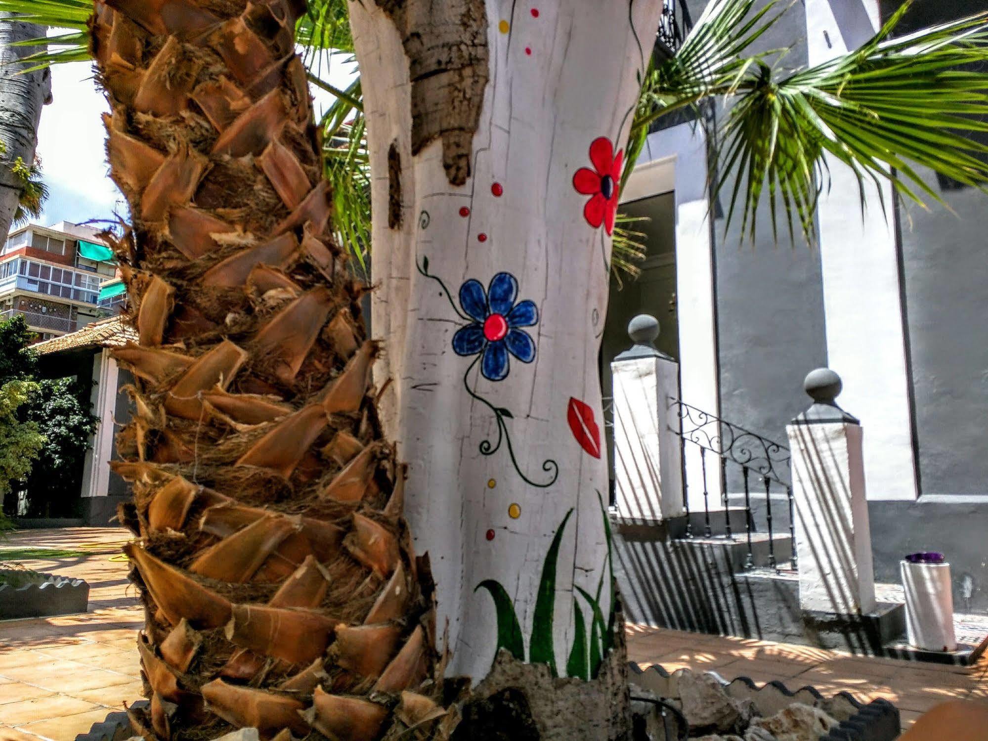 Nwt Paradise Urban Hostel Аликанте Экстерьер фото